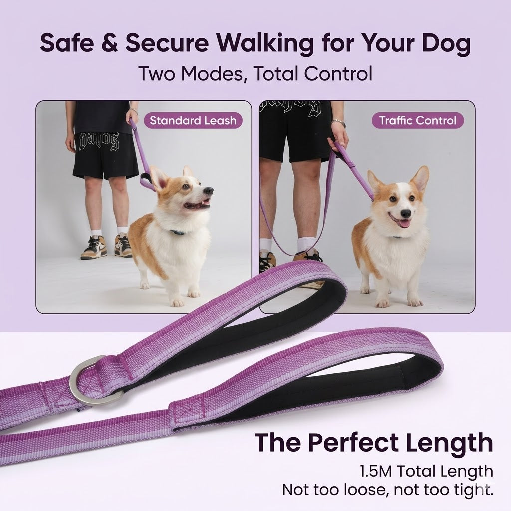 Gradient Dual-Handle Dog Leash