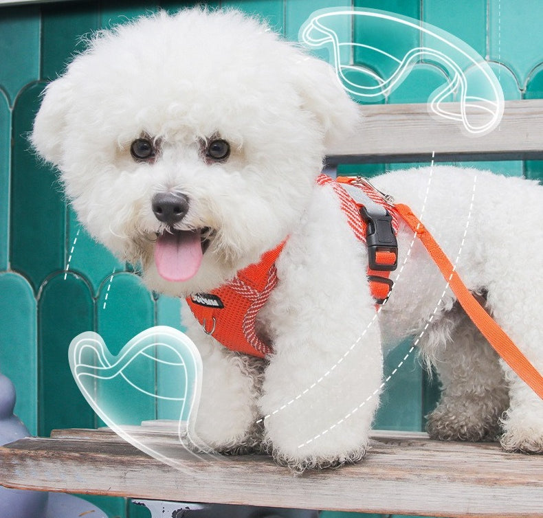 Reflective Mesh Harness & Leash Set