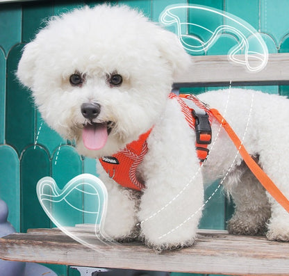 Reflective Mesh Harness & Leash Set