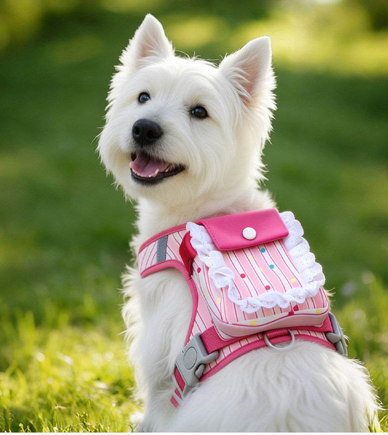 Ruffle Backpack Harness & Leash Set