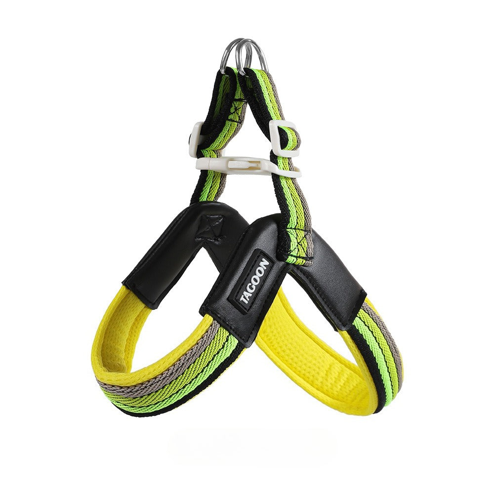 Rainbow V-Shaped Harness & Leash Set