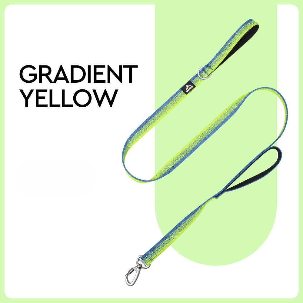 Gradient Dual-Handle Dog Leash