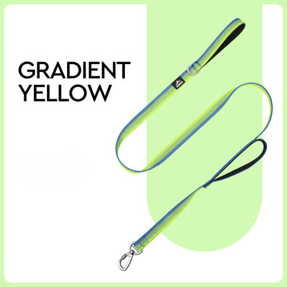 Gradient Dual-Handle Dog Leash