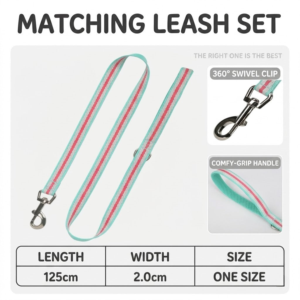 Reflective Mesh Harness & Leash Set