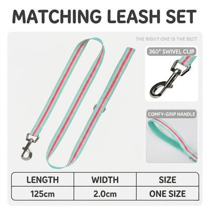 Reflective Mesh Harness & Leash Set