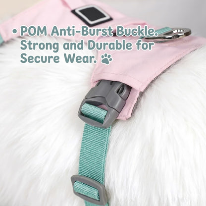 Lightweight Breathable Harness & Leash Set