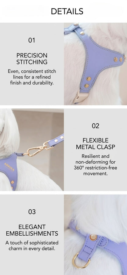 Sparkle Rhinestone Harness & Leash Set