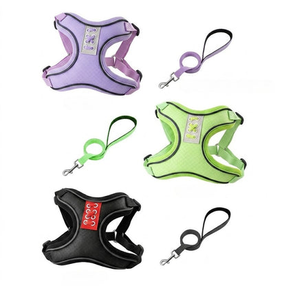Reflective Mesh Harness & Leash Set