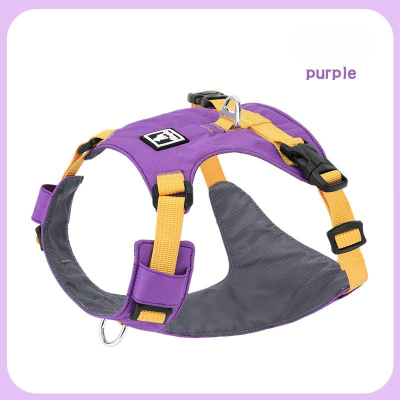 Lightweight Harness & Leash Set