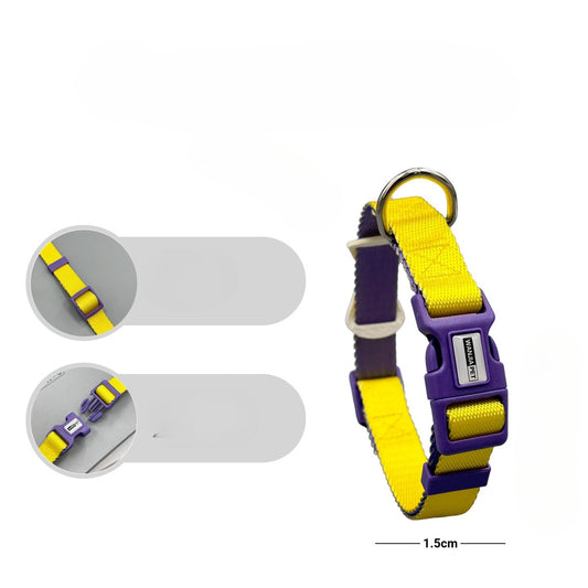 Color Block Dog Collar