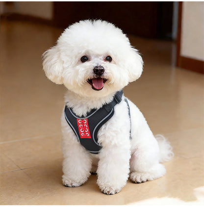 Reflective Mesh Harness & Leash Set