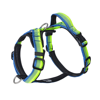 Gradient Harness & Leash Set