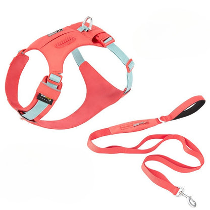 Hidden Pocket Harness & Leash Set