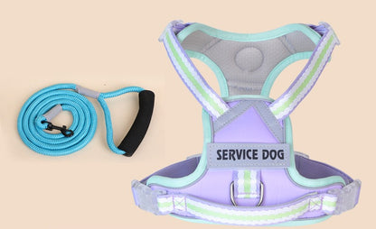 Breathable Mesh Harness & Leash Set