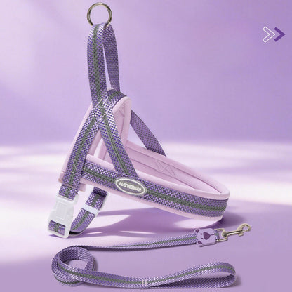 Reflective Mesh Harness & Leash Set