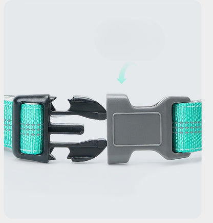 Reflective Nylon Dog Collar for Dogs – Multi