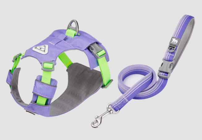 Lightweight Breathable Harness & Leash Set