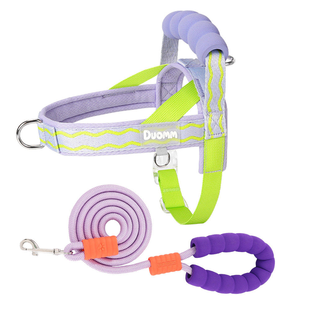 Foam Handle Harness & Leash Set
