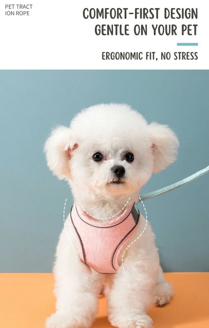 Reflective Suede Harness & Leash Set