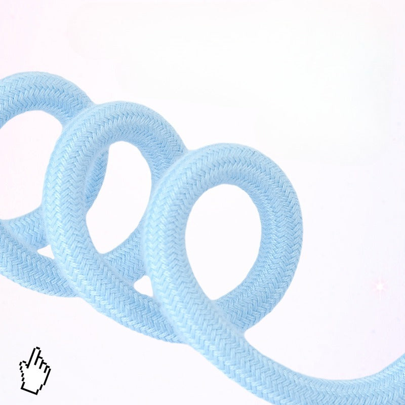 Cushioned Slip Lead Dog Leash