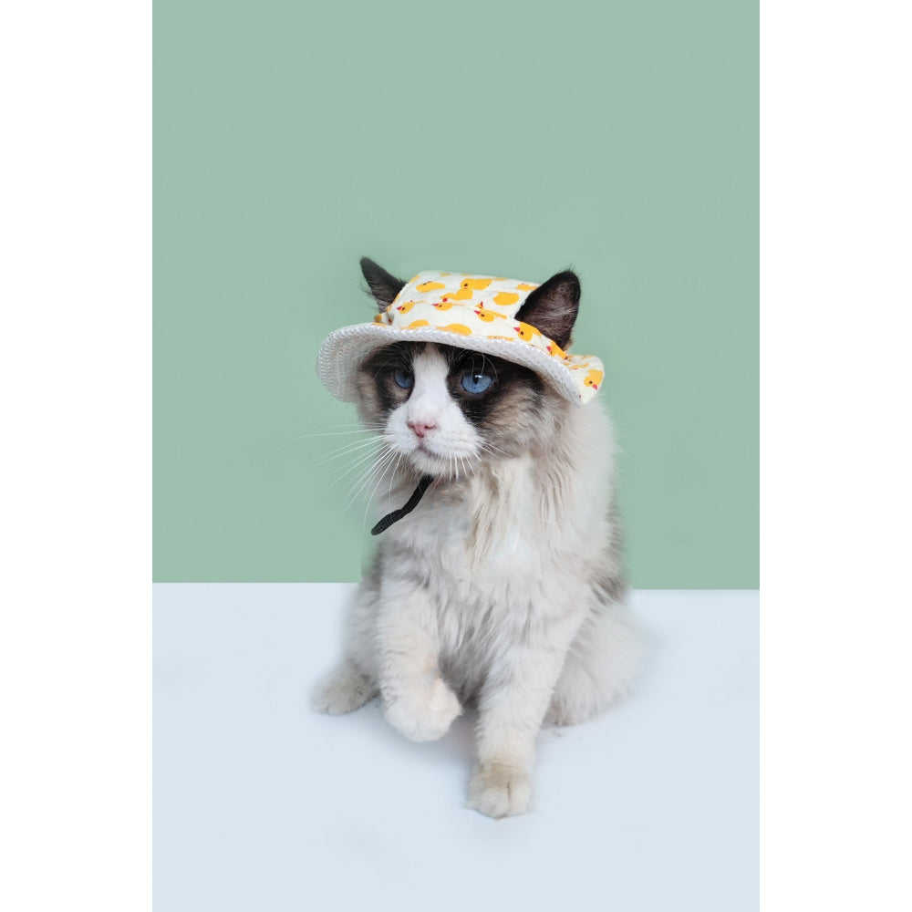 Patterned Fisherman Dog Hat