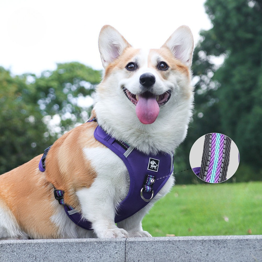 Reflective Harness & Leash Set