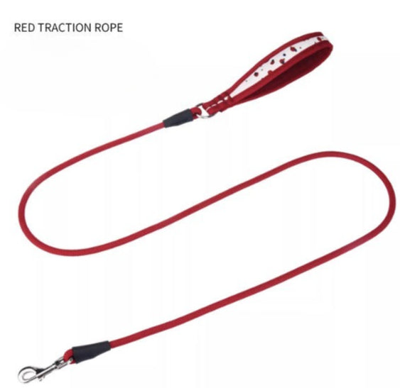 Polka Dot Rope Dog Leash
