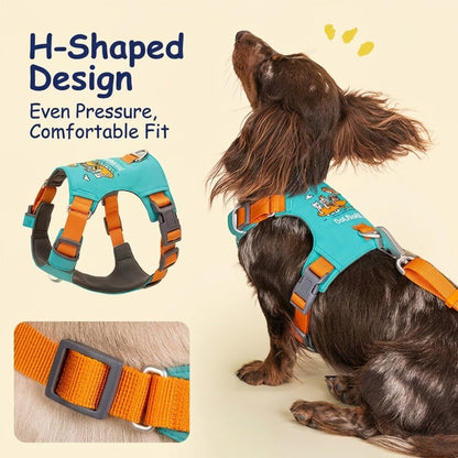 Embroidered Harness & Leash Set