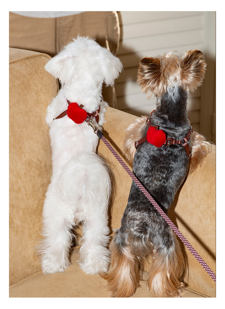Cartoon Embroidered Dog Harness