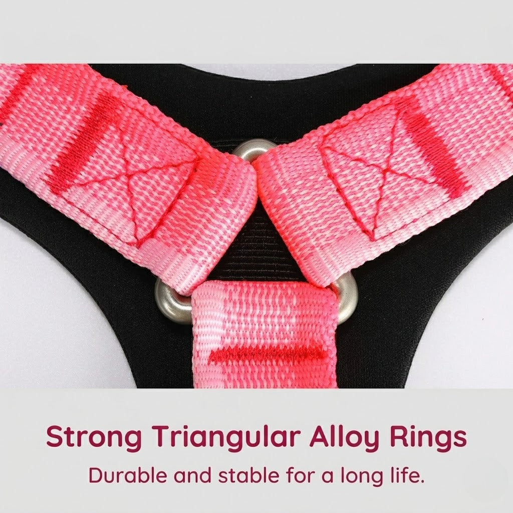 Gradient Harness & Leash Set