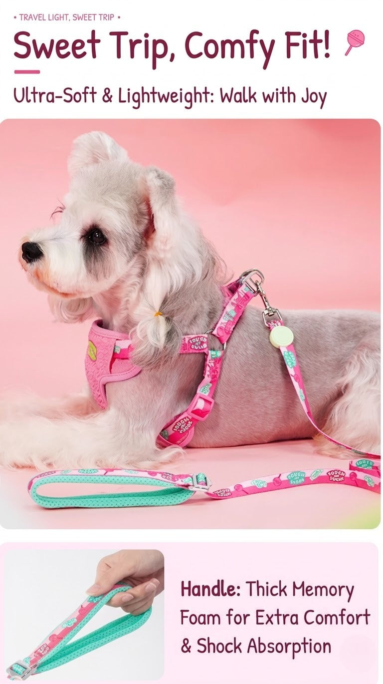 Sugar Series Harness & Leash Set