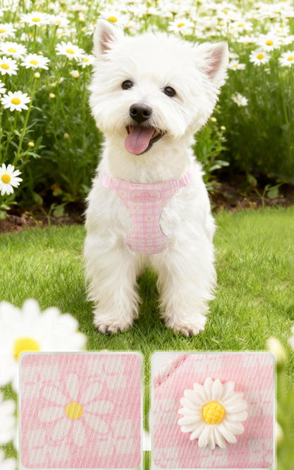 Daisy Plaid Harness & Leash Set