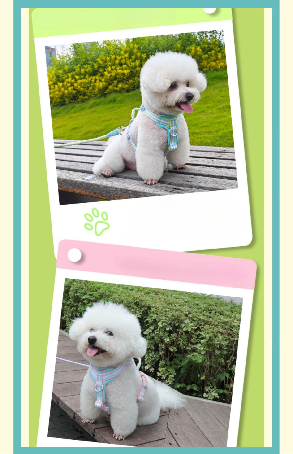 Lightweight Y-Shape Dog Harness