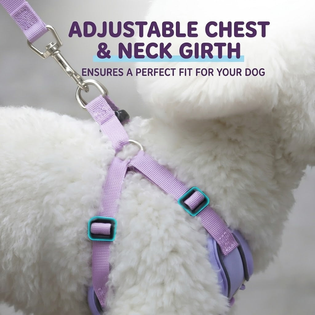Reflective Mesh Harness & Leash Set