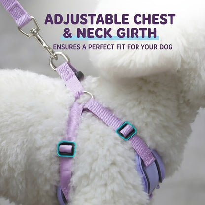 Reflective Mesh Harness & Leash Set