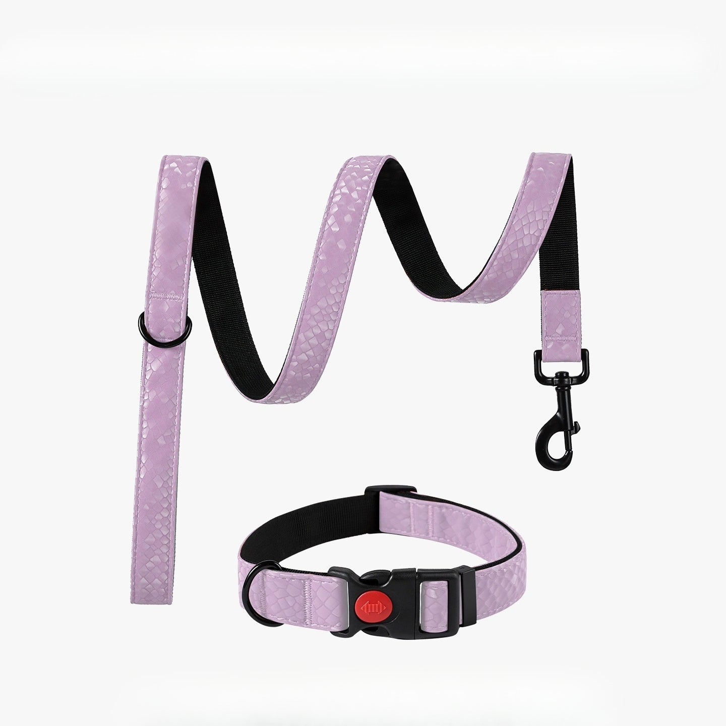 Snake Pattern Collar & Leash Set