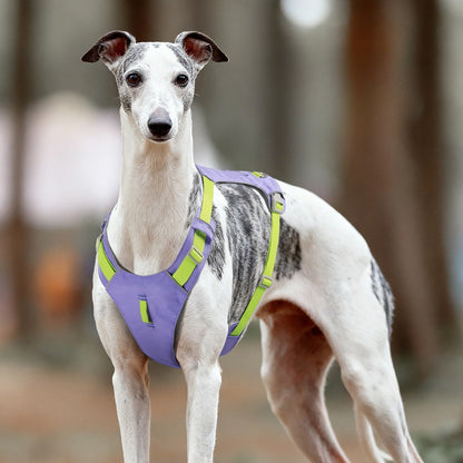 Lightweight Reflective Dog Harness