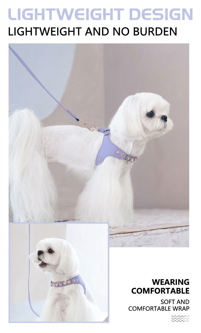 Sparkle Rhinestone Harness & Leash Set