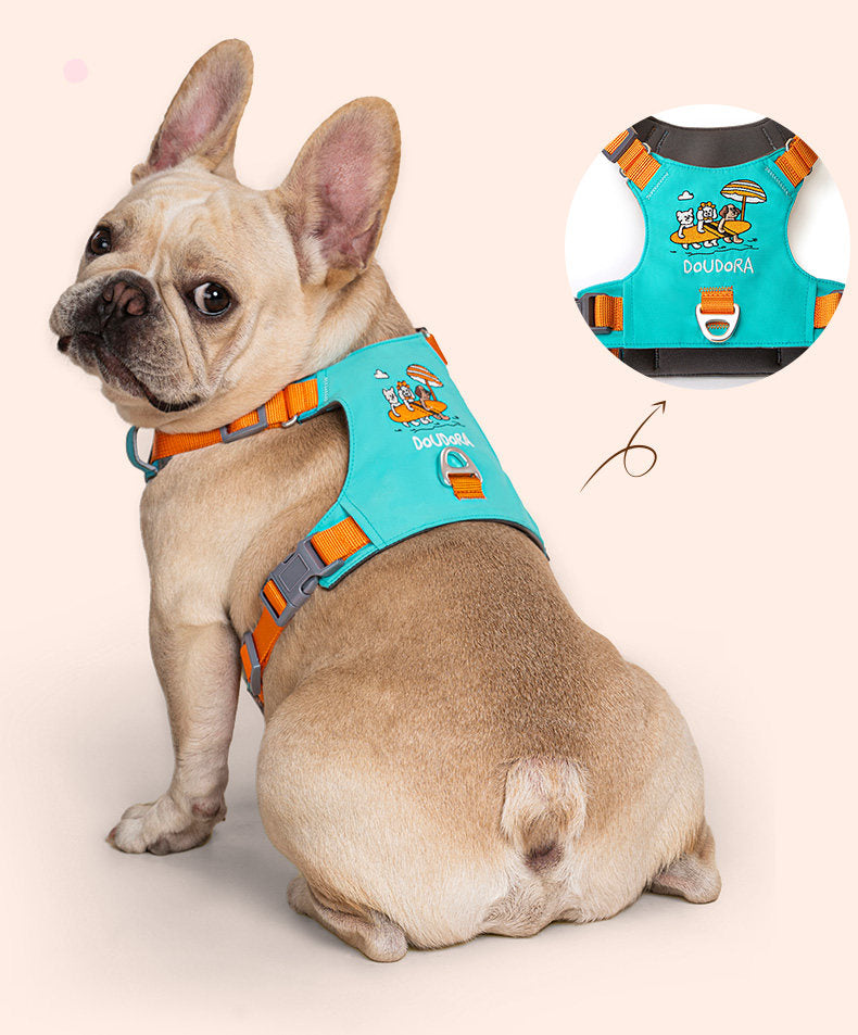 Embroidered Harness & Leash Set
