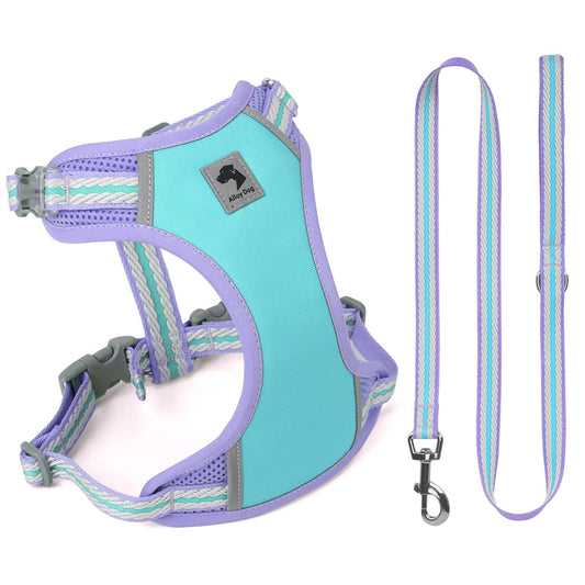 Reflective Mesh Harness & Leash Set
