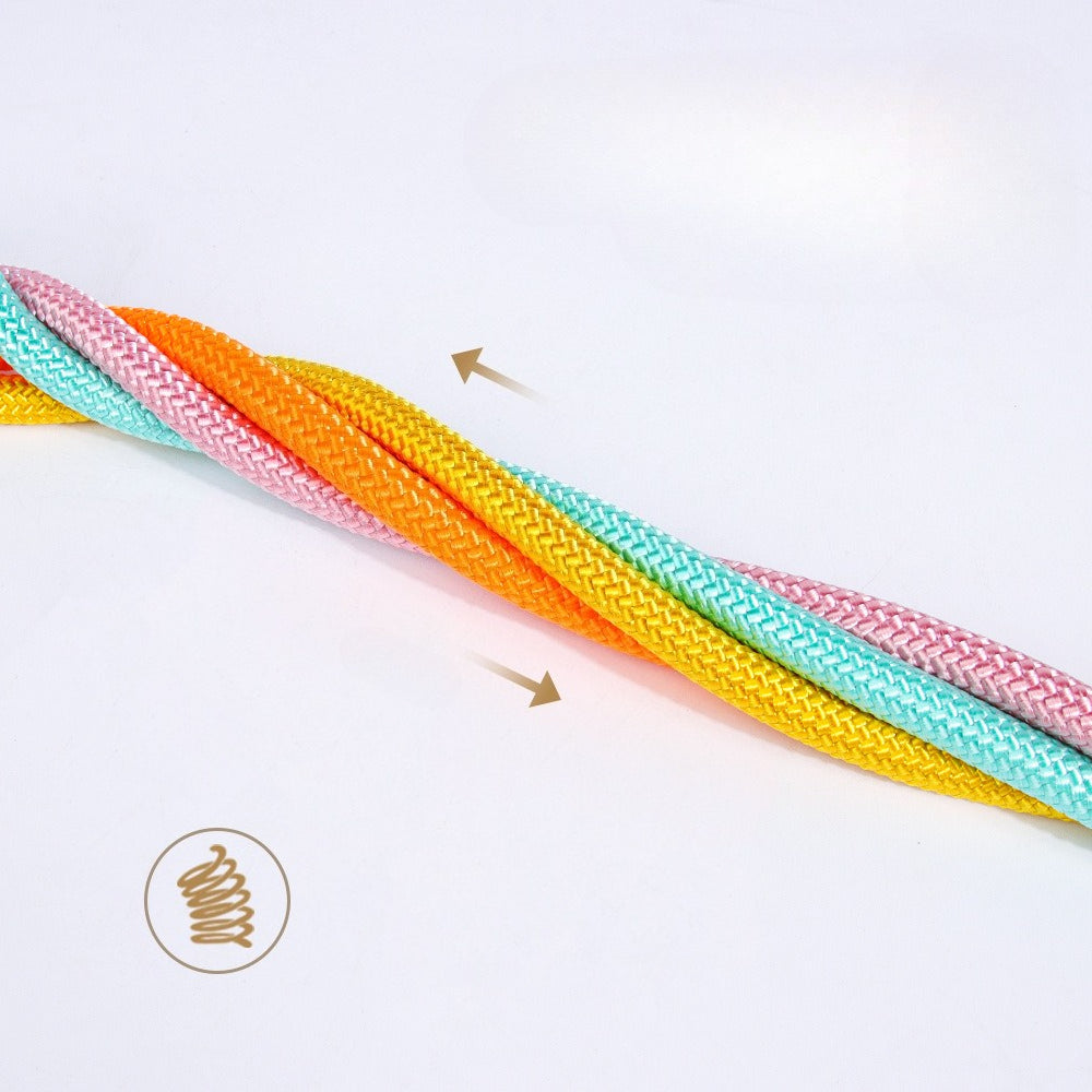 Braided Sponge Handle Dog Leash