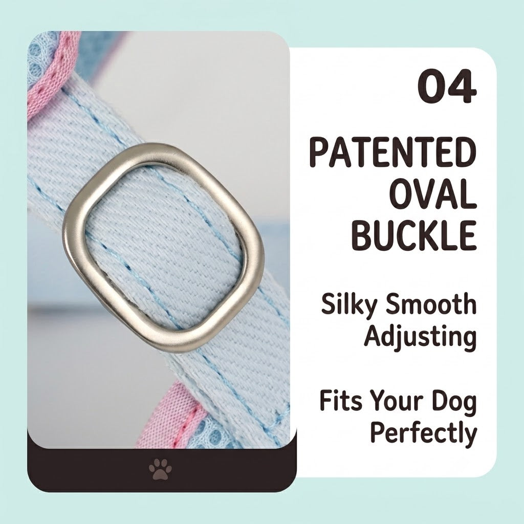 Macaron Candy Harness & Leash Set