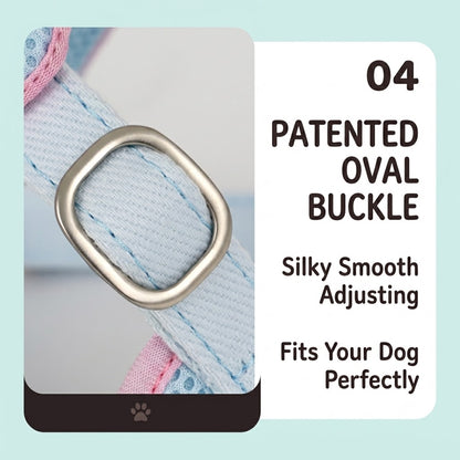 Macaron Candy Harness & Leash Set