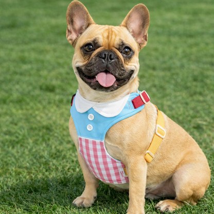 Preppy Plaid Dog Harness