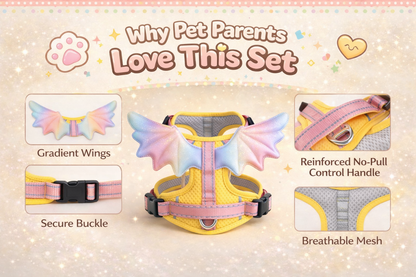 Rainbow Wings Harness & Leash Set for Small Dogs