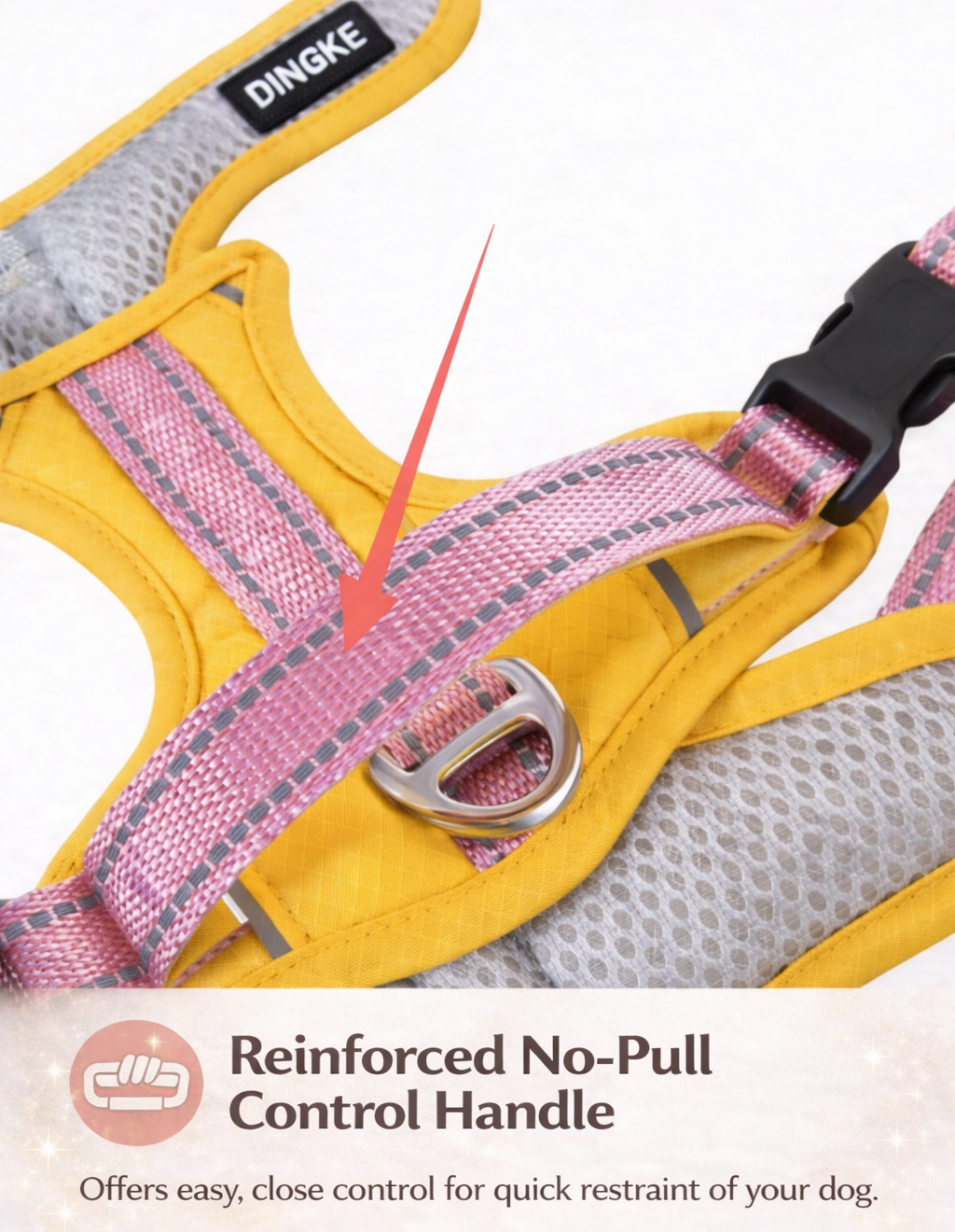 Rainbow Wings Harness & Leash Set for Small Dogs