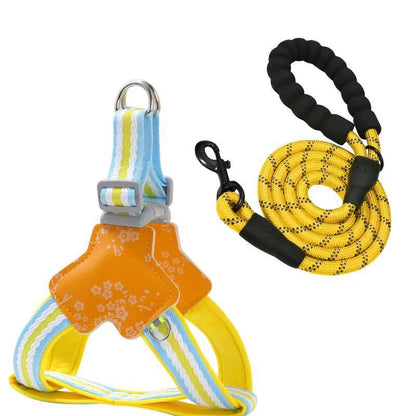 Floral Harness & Leash Set