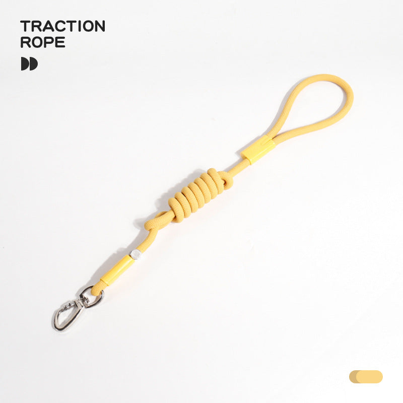 Braided Slip Lead Dog Leash for Dogs – Multi