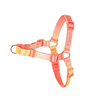 Gradient Harness & Leash Set