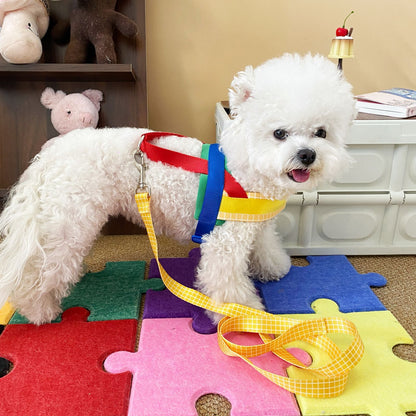 Rainbow Harness and Leash Set for Dogs – Rainbow